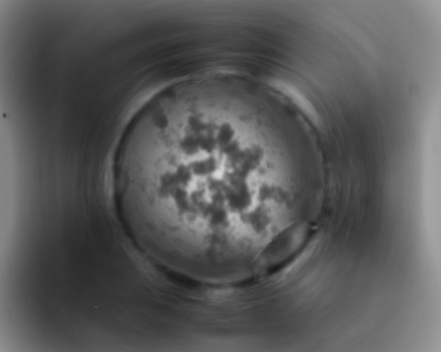 X0000092071031200709262042
