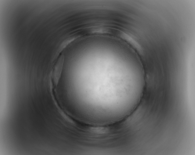 X0000092071033200709262042