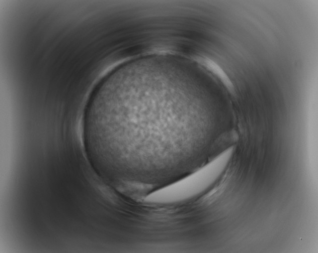 X0000092071035200709262042
