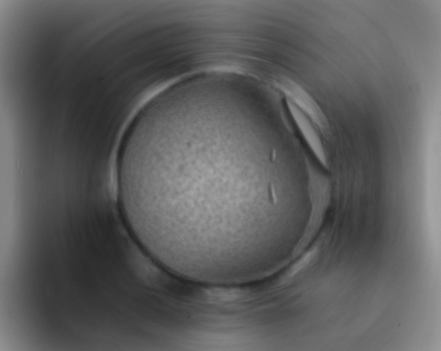 X0000092071036200709262042