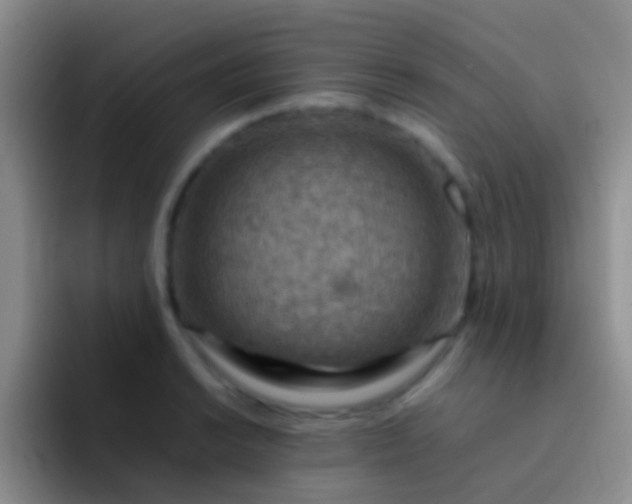 X0000092071038200709262042