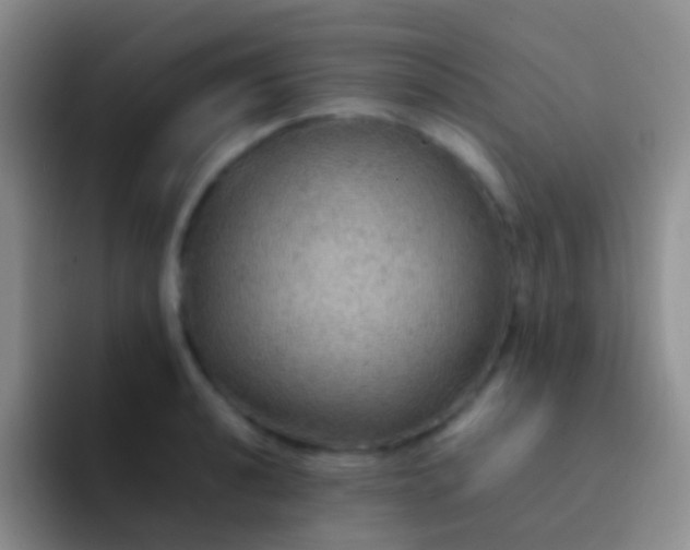X0000092071040200709262042
