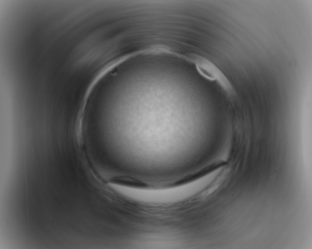 X0000092071052200709262042