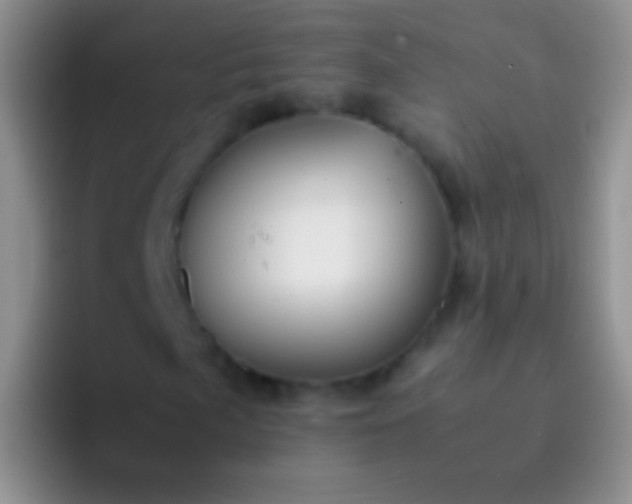 X0000092071057200709262042