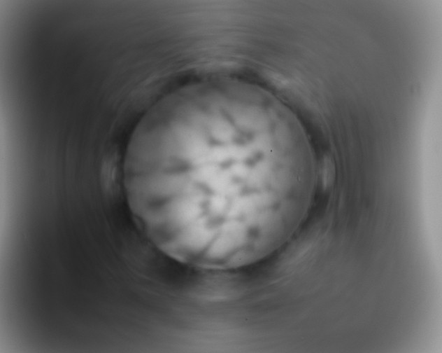 X0000092071059200709262042