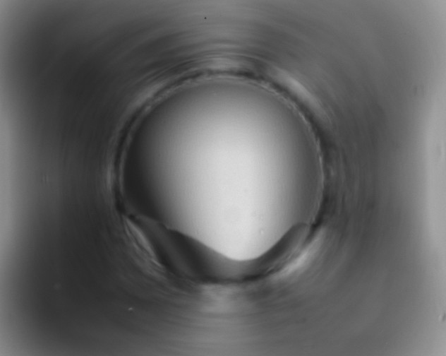 X0000092071065200709262042