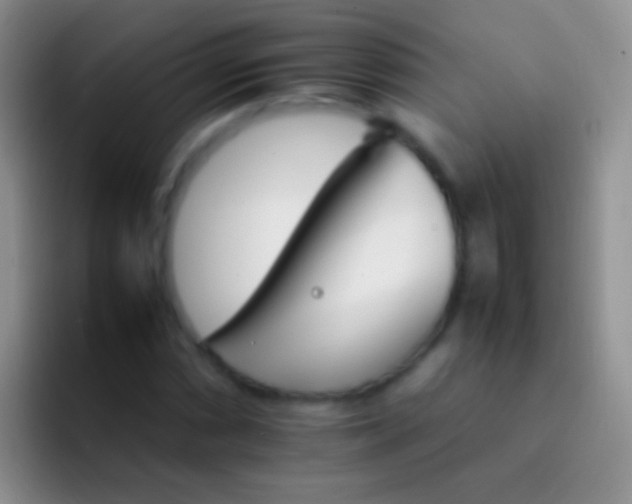 X0000092071066200709262042