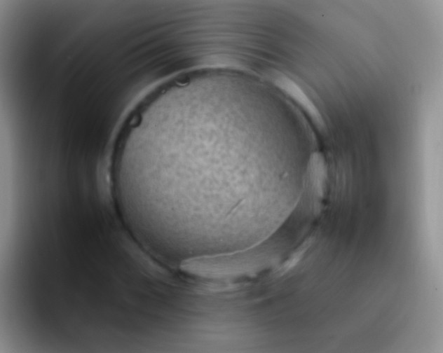 X0000092071068200709262042