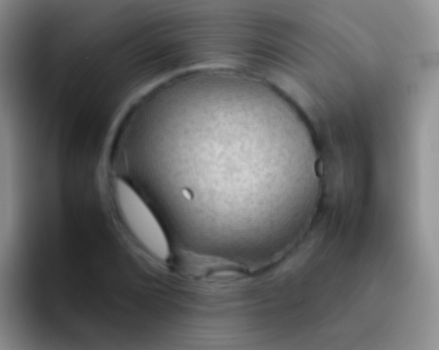 X0000092071072200709262042