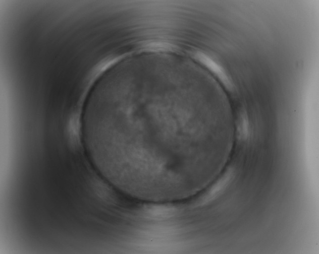 X0000092071074200709262042