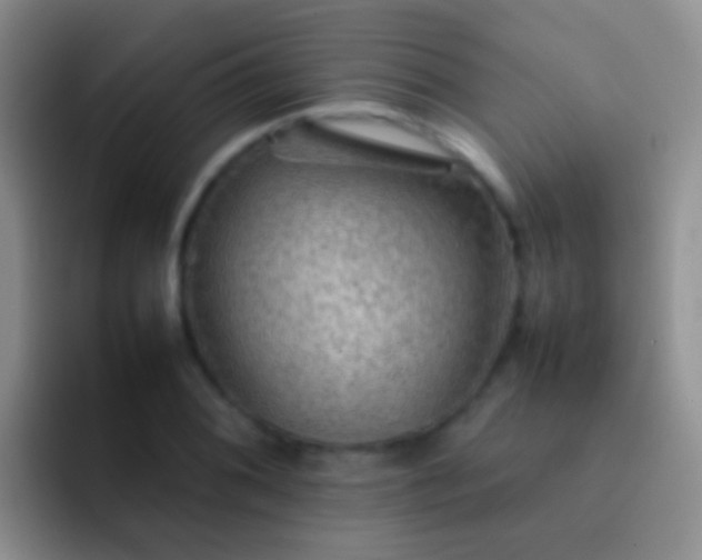 X0000092071076200709262041