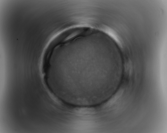 X0000092071077200709262041