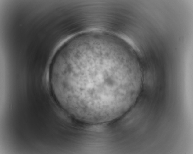 X0000092071078200709262041