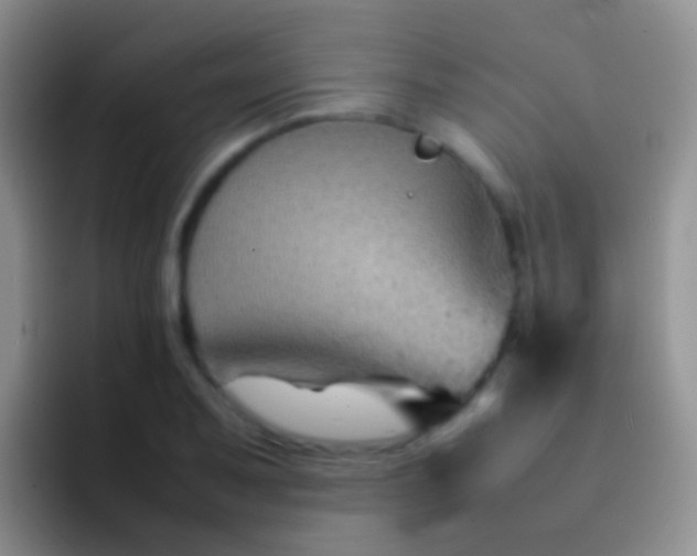 X0000092071079200709262041