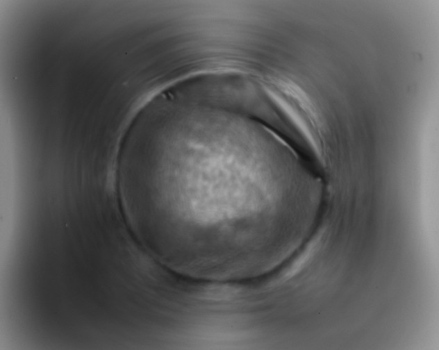 X0000092071081200709262041