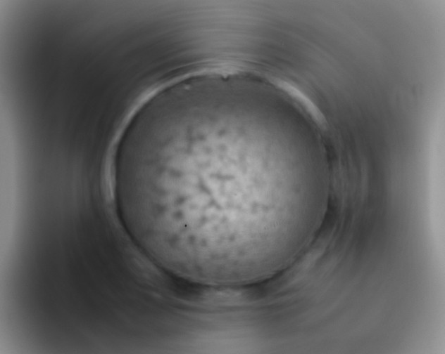 X0000092071083200709262041