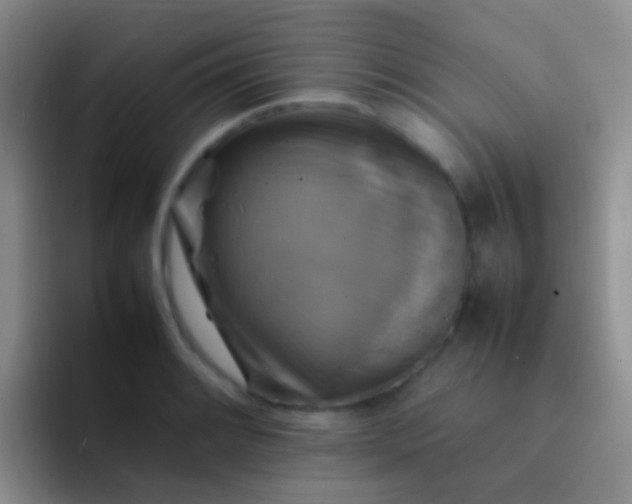 X0000092071084200709262041
