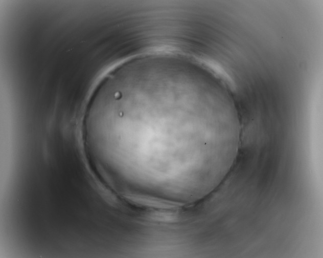 X0000092071086200709262041