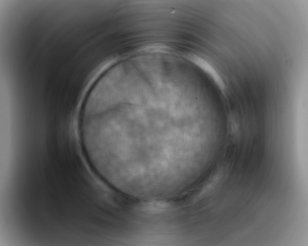 X0000092071090200709262041