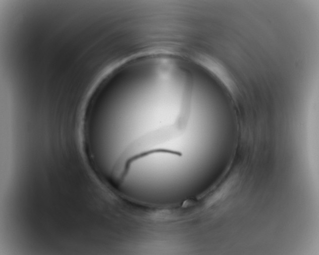 X0000092071093200709262041