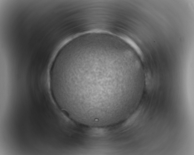 X0000092071096200709262041