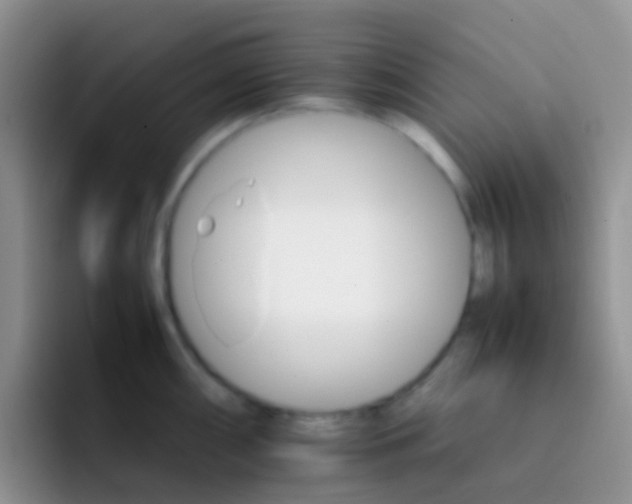 X0000092071098200709262041