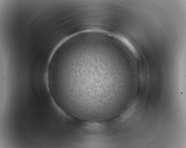 X0000092071100200709262041