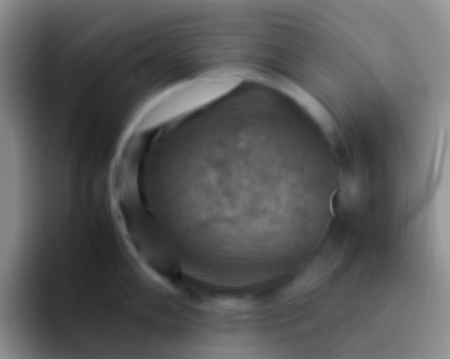 X0000092071102200709262041