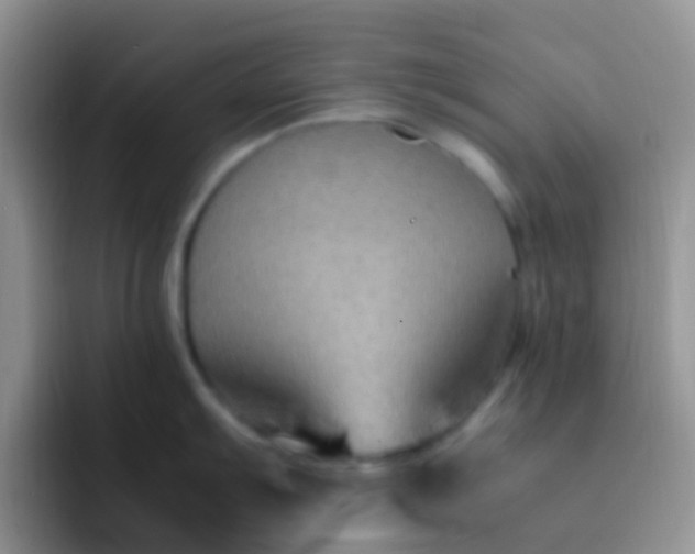X0000092071103200709262041