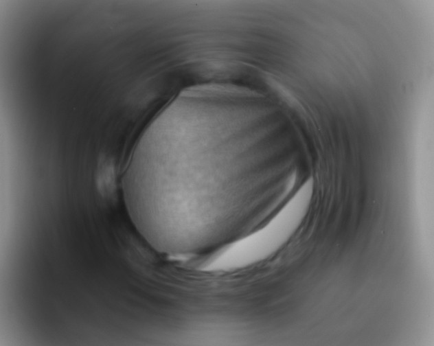 X0000092071108200709262041