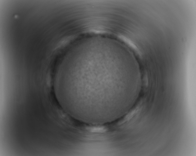 X0000092071110200709262041