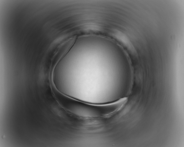 X0000092071112200709262041