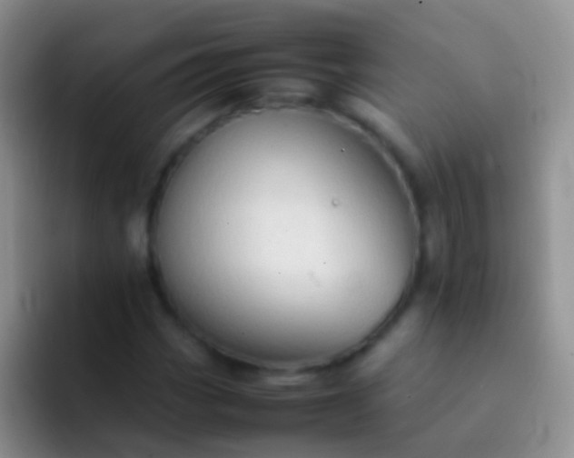 X0000092071113200709262041