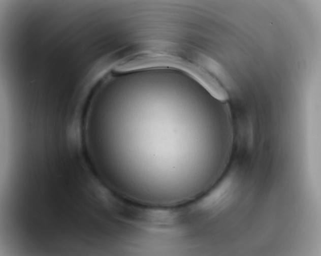 X0000092071114200709262041
