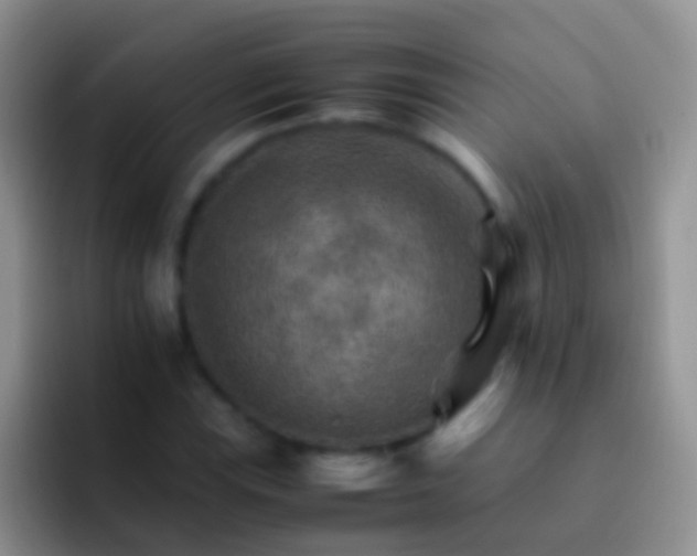 X0000092071115200709262041