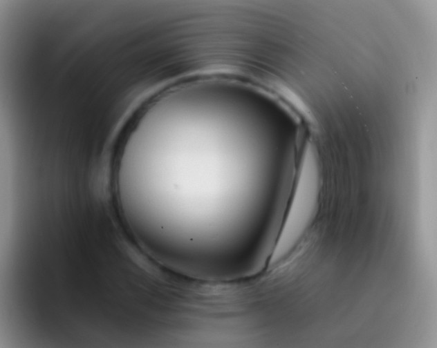 X0000092071116200709262041