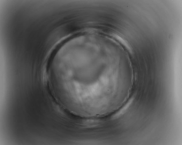 X0000092071117200709262041