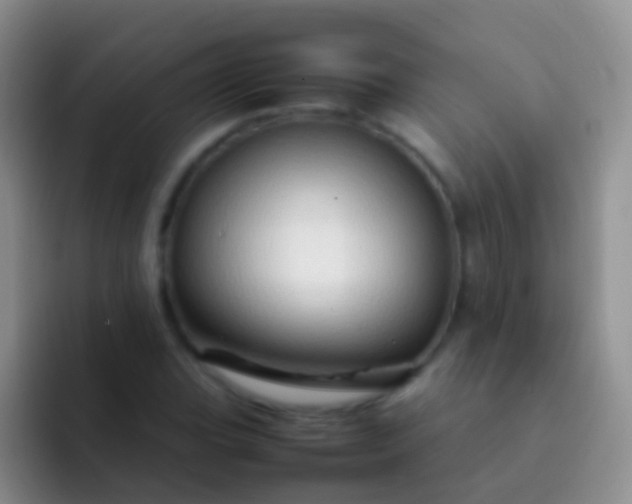 X0000092071119200709262041