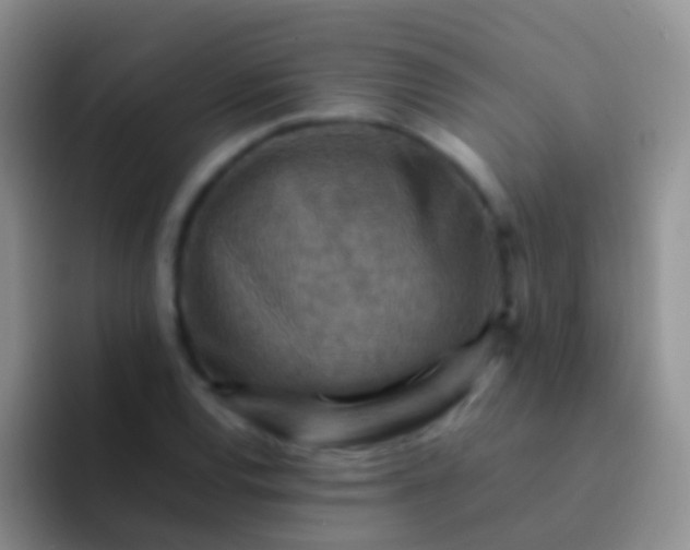 X0000092071120200709262041