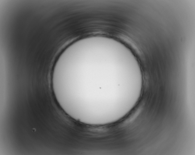 X0000092071121200709262041