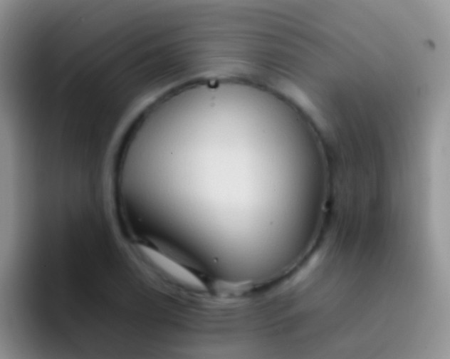X0000092071122200709262041
