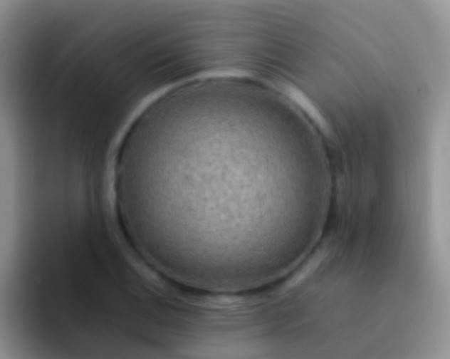 X0000092071124200709262041