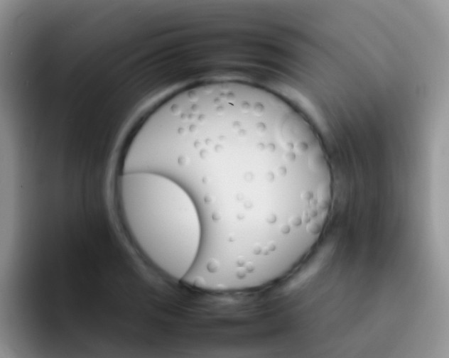 X0000092071125200709262041
