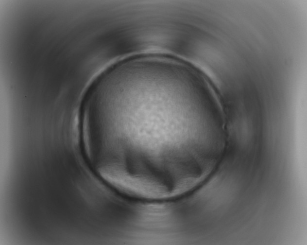 X0000092071126200709262041