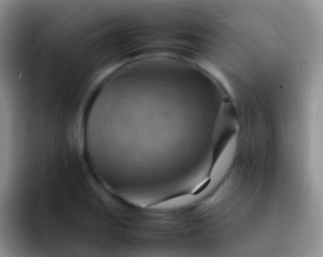 X0000092071127200709262041