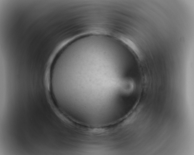 X0000092071128200709262041