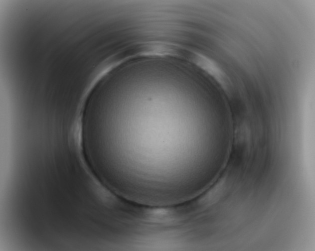X0000092071130200709262041