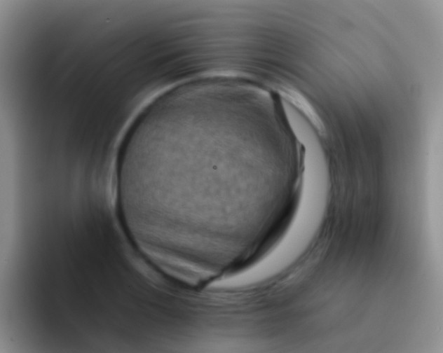 X0000092071132200709262041