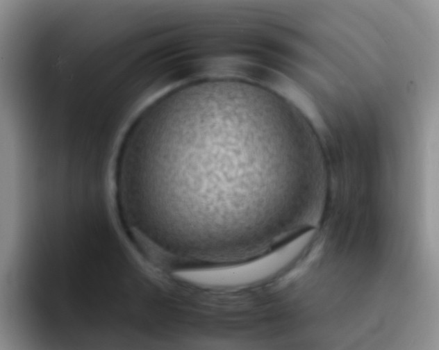X0000092071133200709262041