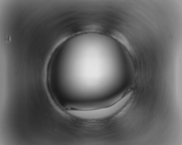 X0000092071135200709262041